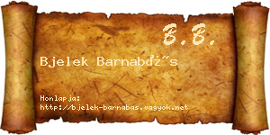 Bjelek Barnabás névjegykártya